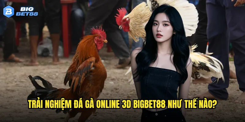 Công nghệ đá gà online 3D của Bigbet88 có vượt trội so với đối thủ? 2 Trải nghiệm đá gà online 3D Bigbet88 như thế nào?