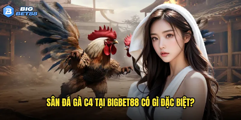 Vì sao Đá gà C4 trên Bigbet88 được đánh giá là chất lượng nhất thị trường? 2 Sân đá gà C4 tại Bigbet88 có gì đặc biệt?
