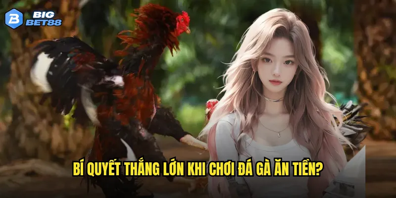 Có thể kiếm tiền thật từ đá gà ăn tiền tại Bigbet88 hay không? 3 Bí quyết thắng lớn khi chơi đá gà ăn tiền?