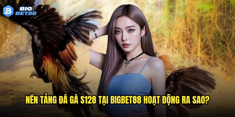 Nền tảng đá gà S128 tại Bigbet88 hoạt động ra sao?