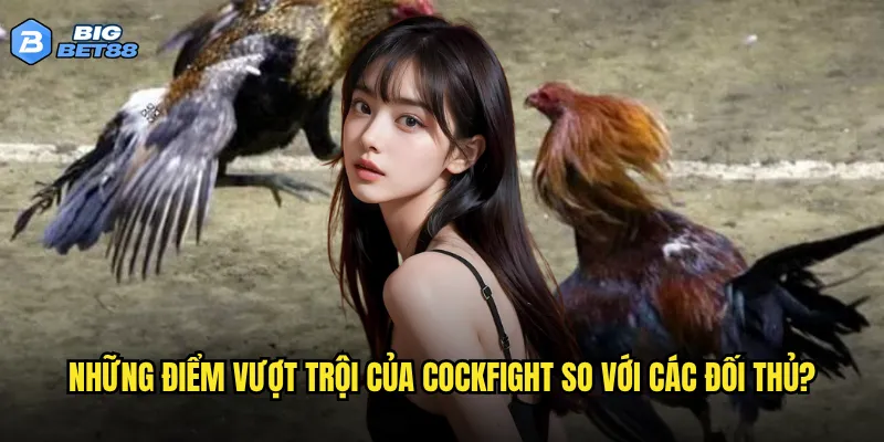 Những điểm vượt trội của Cockfight so với các đối thủ?