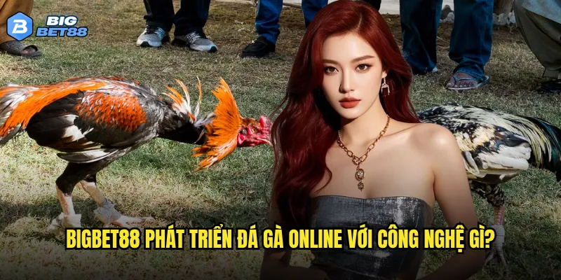 Bigbet88 phát triển đá gà online với công nghệ gì?