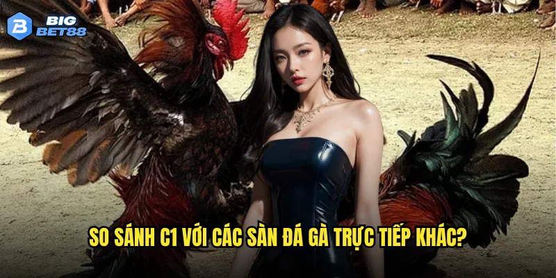 Chất lượng đá gà trực tiếp C1 của Bigbet88 có đáng tin cậy không? 3 So sánh C1 với các sàn đá gà trực tiếp khác?