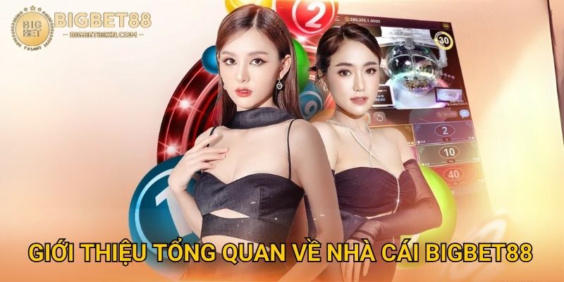 Trang chủ 26 Giới Thiệu Tổng Quan Về Nhà Cái Bigbet88